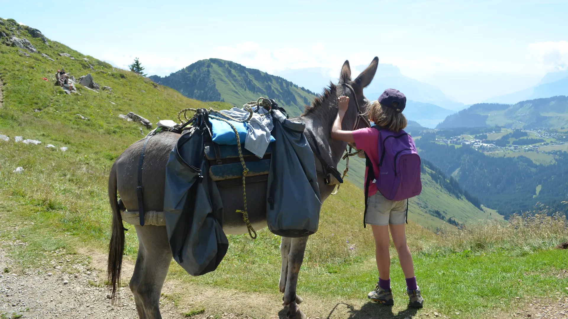 Balade encadrée avec les ânes de Jean-Luc
