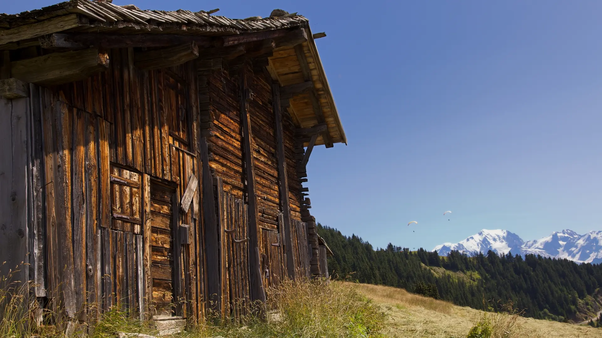 Authentique ferme d'alpage