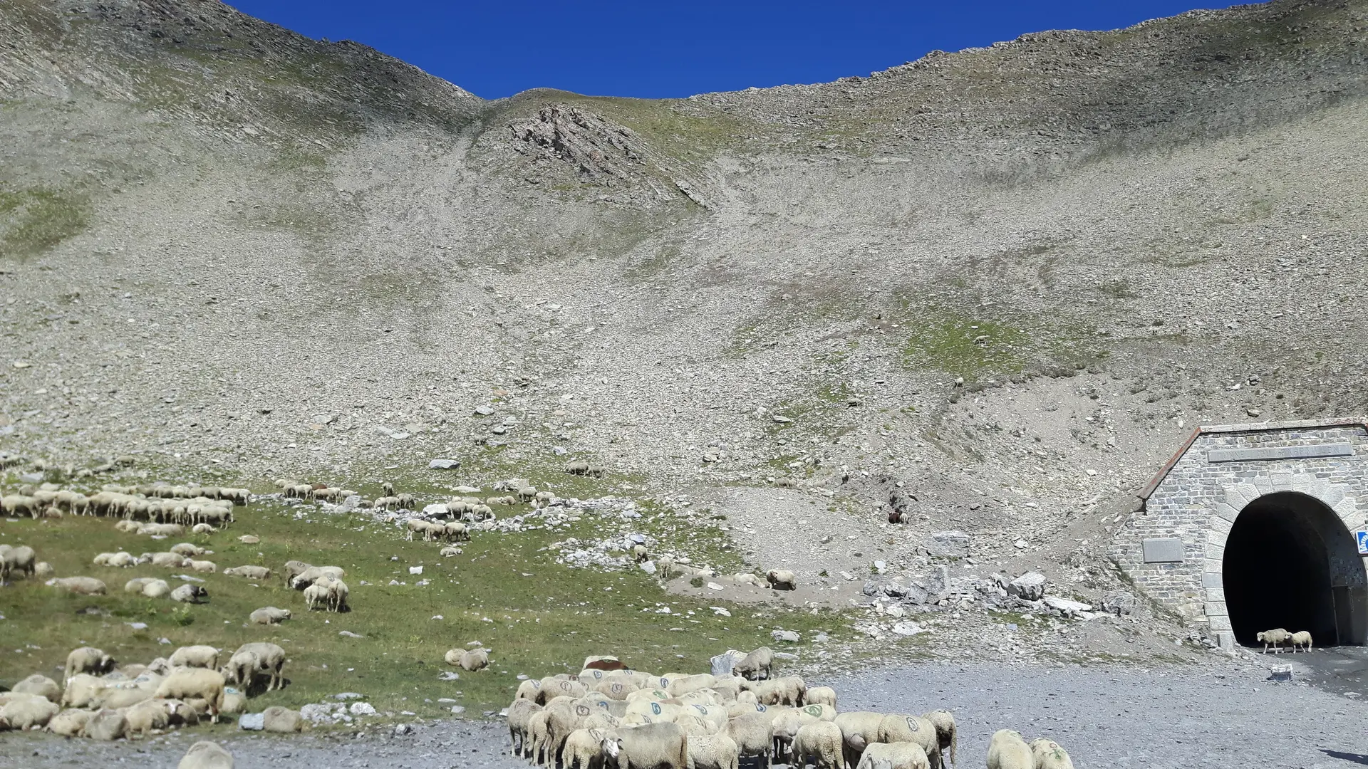 Chastan Sport - Randonnée trottinette Tout Terrain et location Fat Bike à assistance électrique_Crévoux