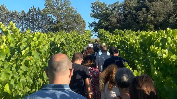 Au coeur du vignoble au Domaine  Le Novi_La Tour-d'Aigues