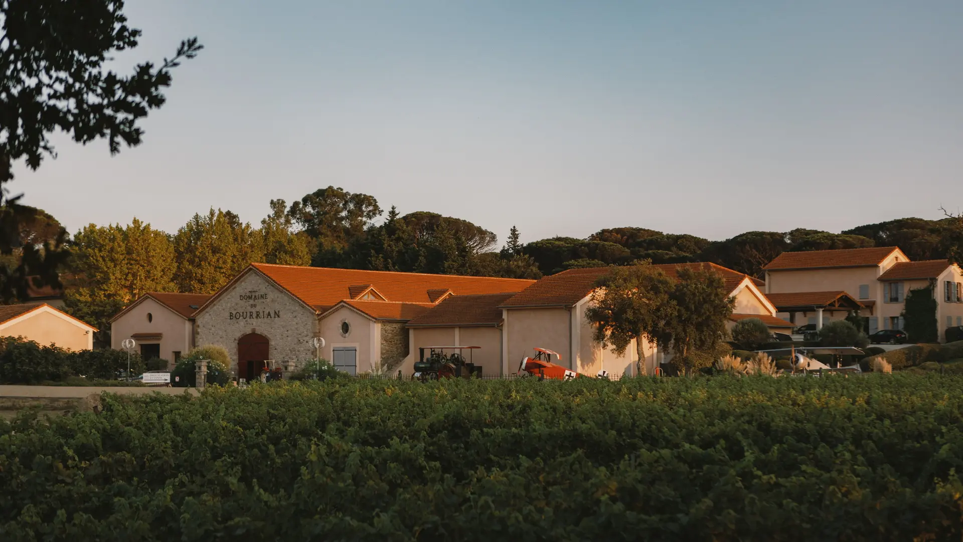 Domaine viticole du Bourrian