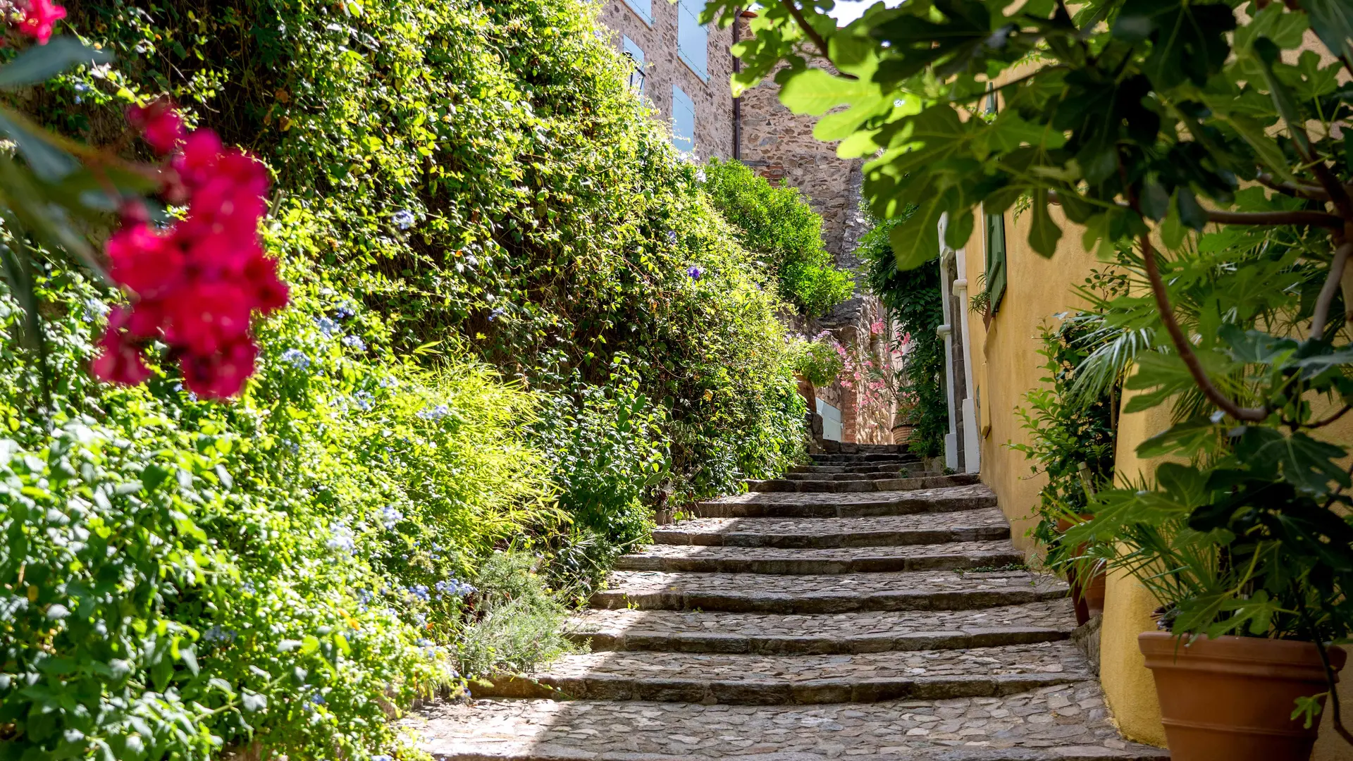 Centre historique Grimaud