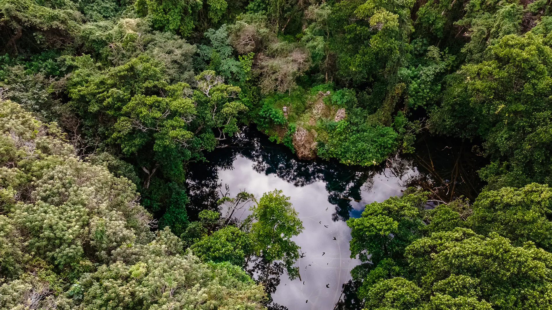 View from the sky