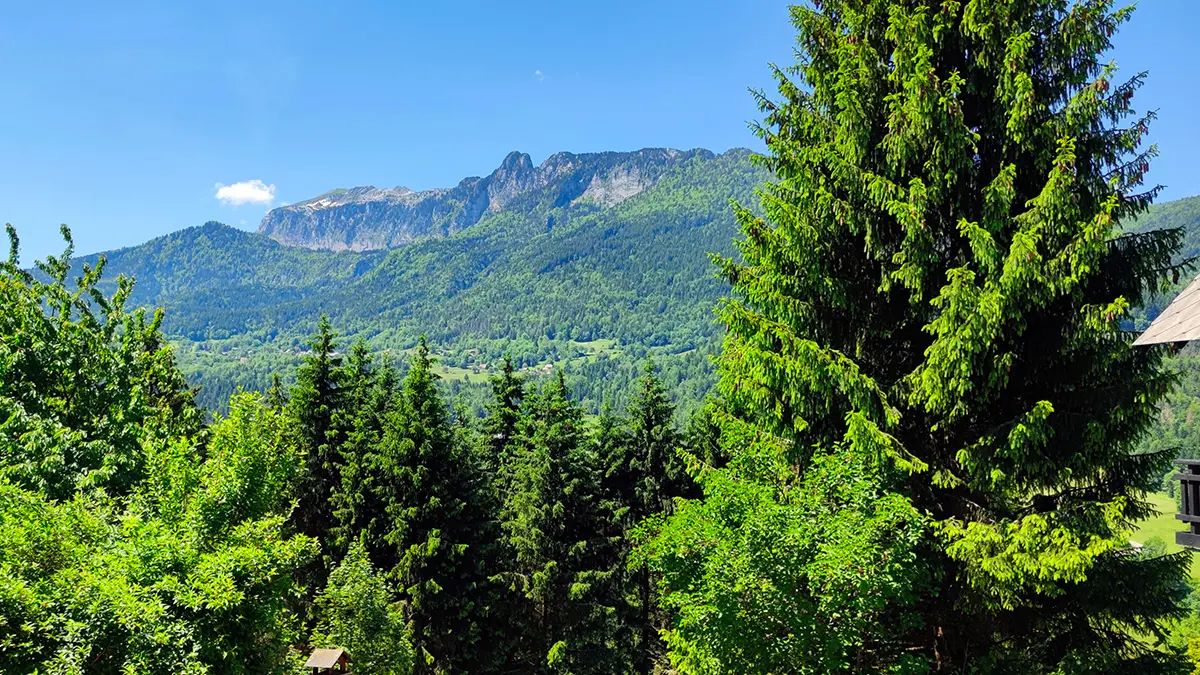 Vue panoramique depuis le chalet