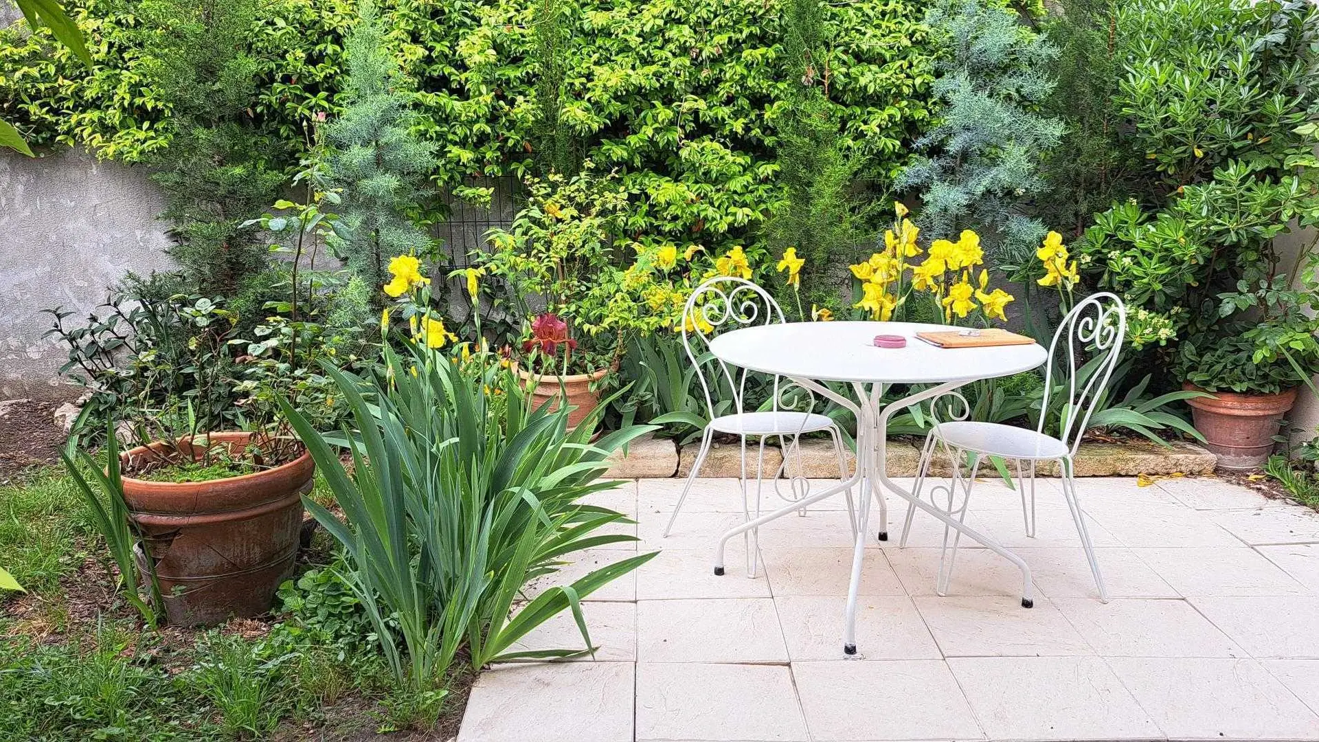 Quiétude de la Terrasse avec ses Iris en fleurs.