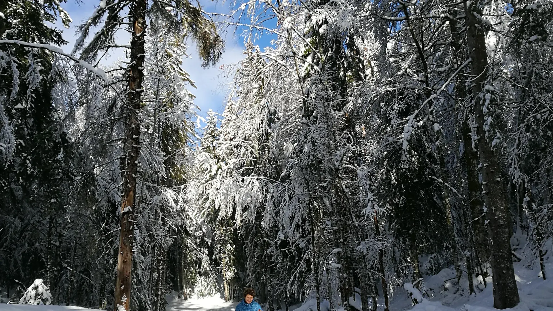 Ski de fond à Giron