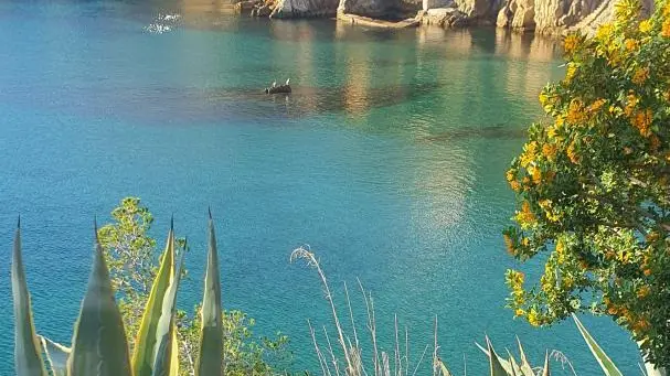 chemin de randonnée de la côte bleue