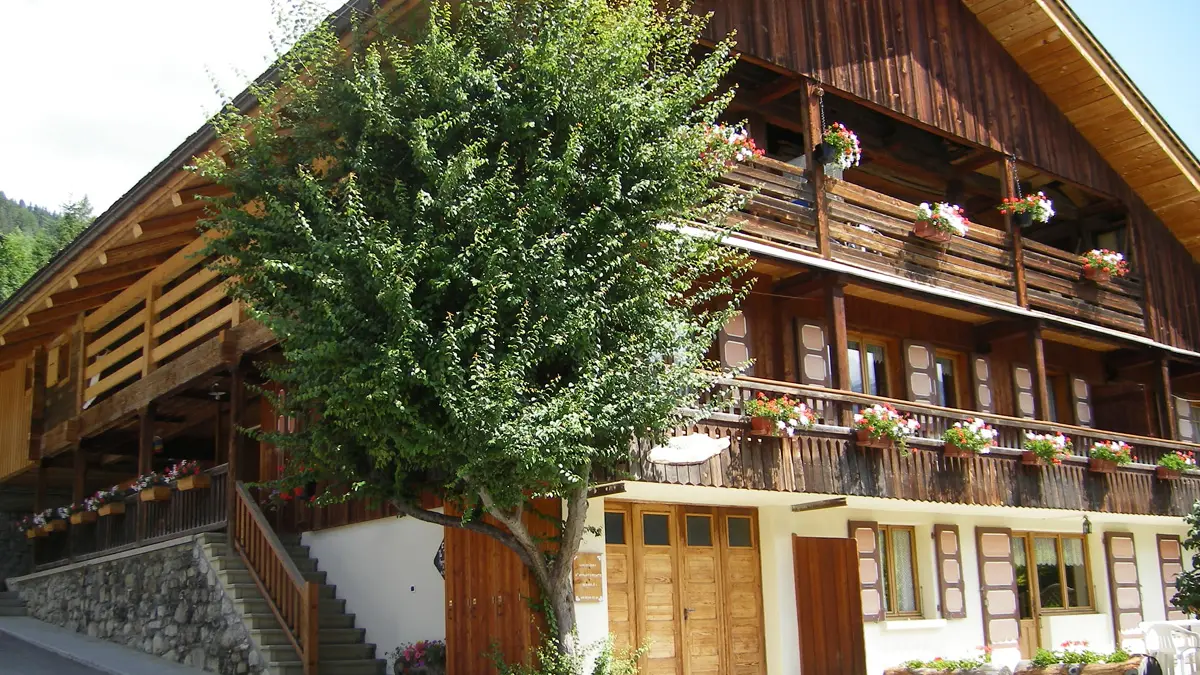 Chalet été / Chalet during summer - Villard 1 - Le Grand-Bornand