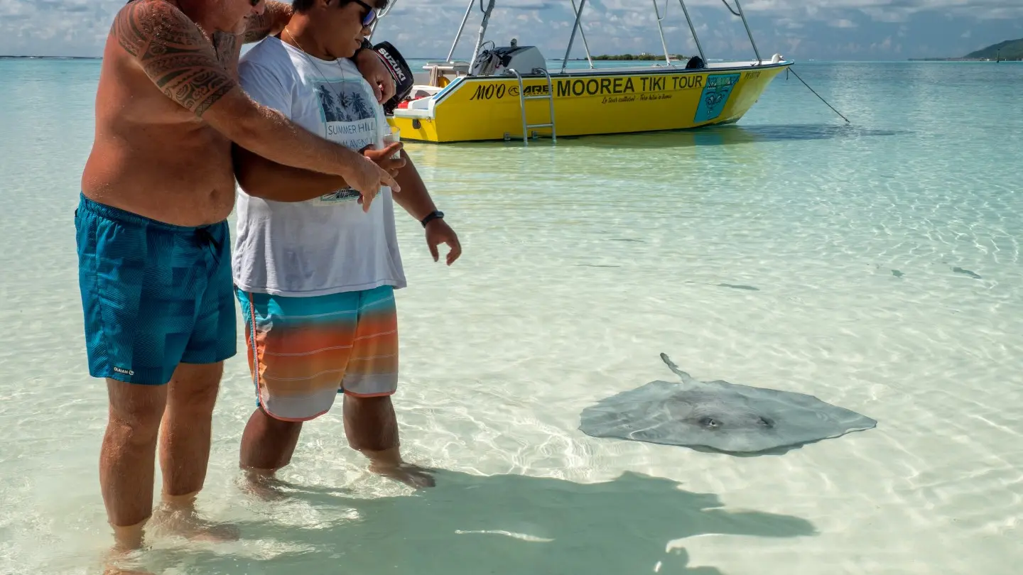 Raie-moorea