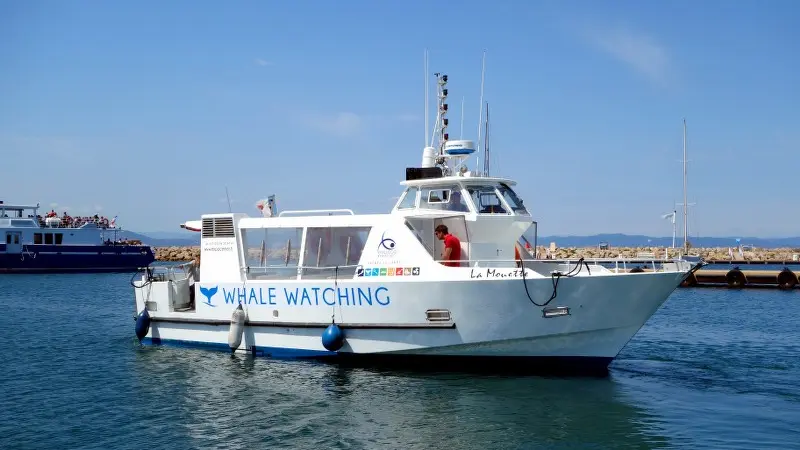 Espace mer, excursions en bateau