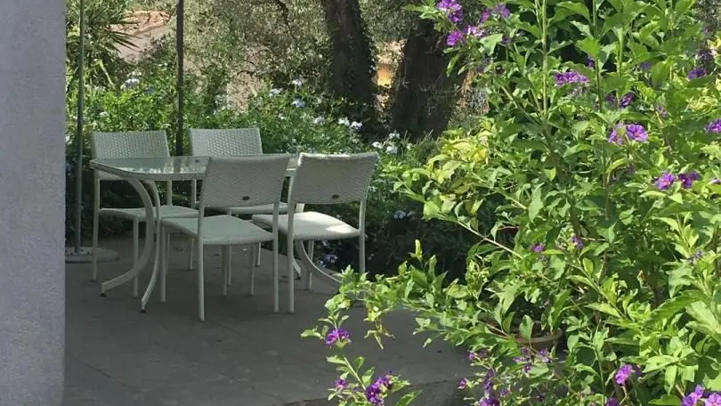 Gîte Mas de la Galinette Glycine- Terrasse privative  - Biot - Gîtes de France Alpes-Maritimes.
