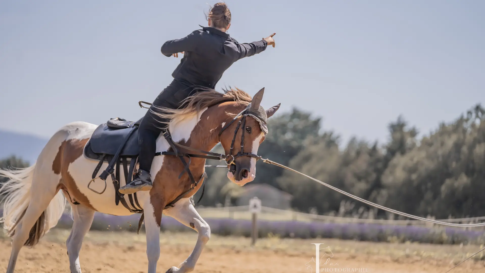 Cavalière effectuant une figure de voltige sur un cheval en mouvement.