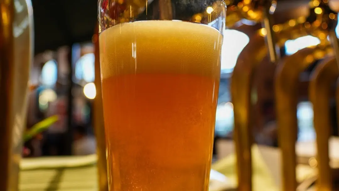 15 bière artisanales disponibles