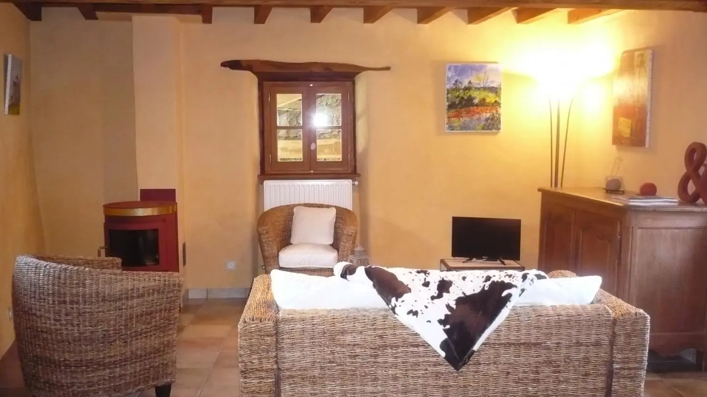 Vue d'ensemble du salon