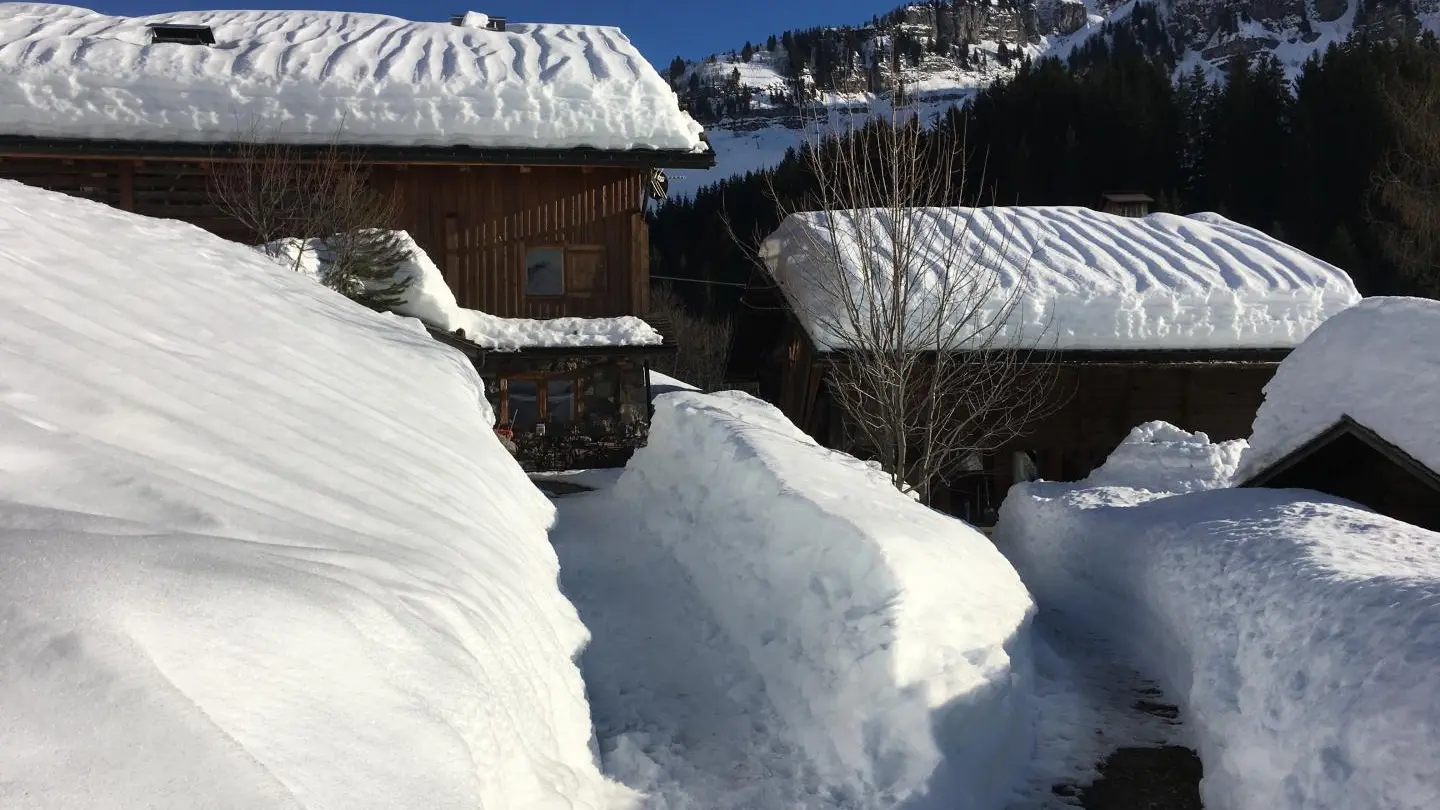 Arrivée au chalet