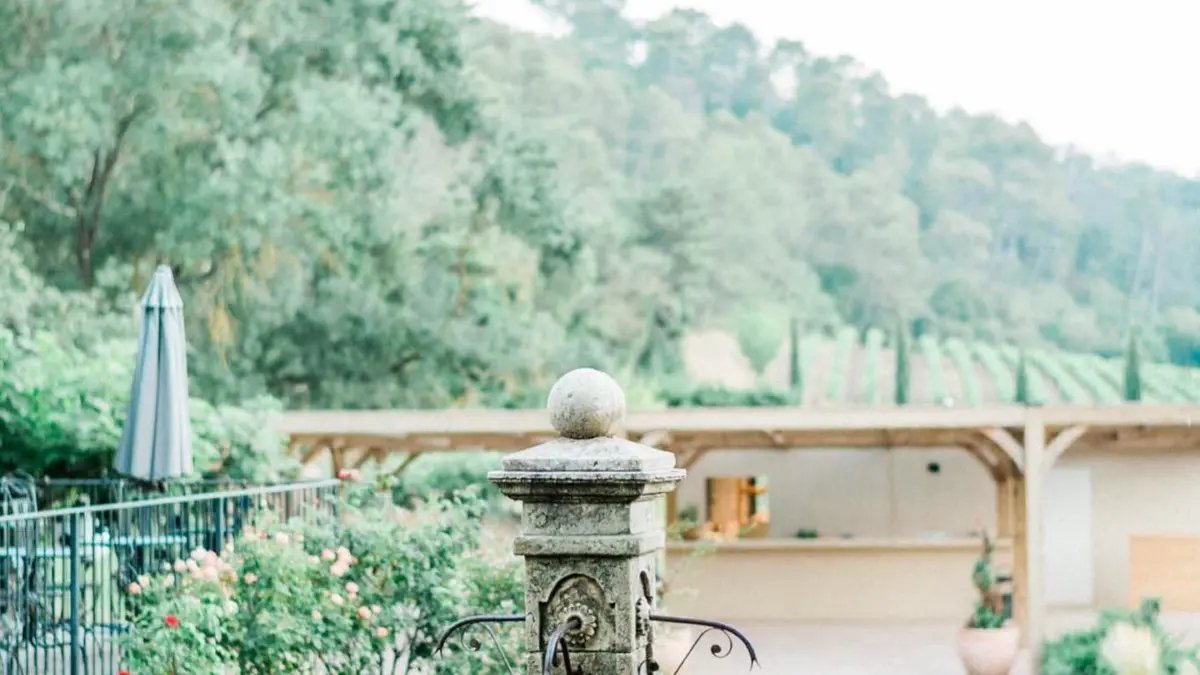 Mas provençal entouré de vignes et d’un grand parc.