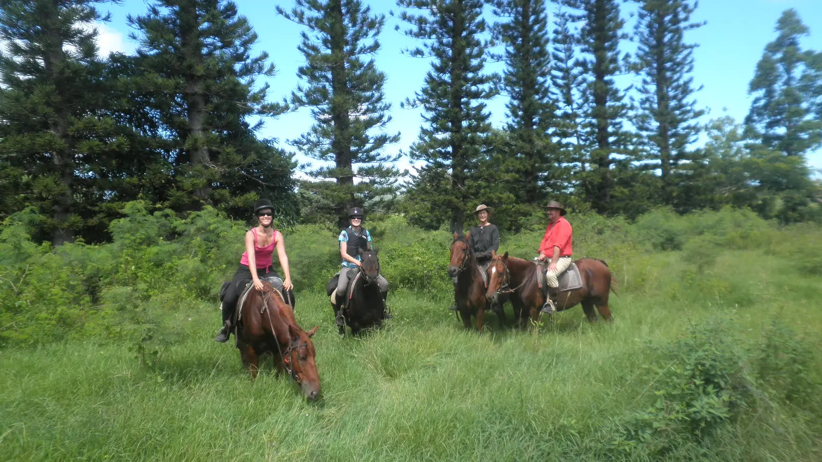 cheval, koné Rando, espace vert