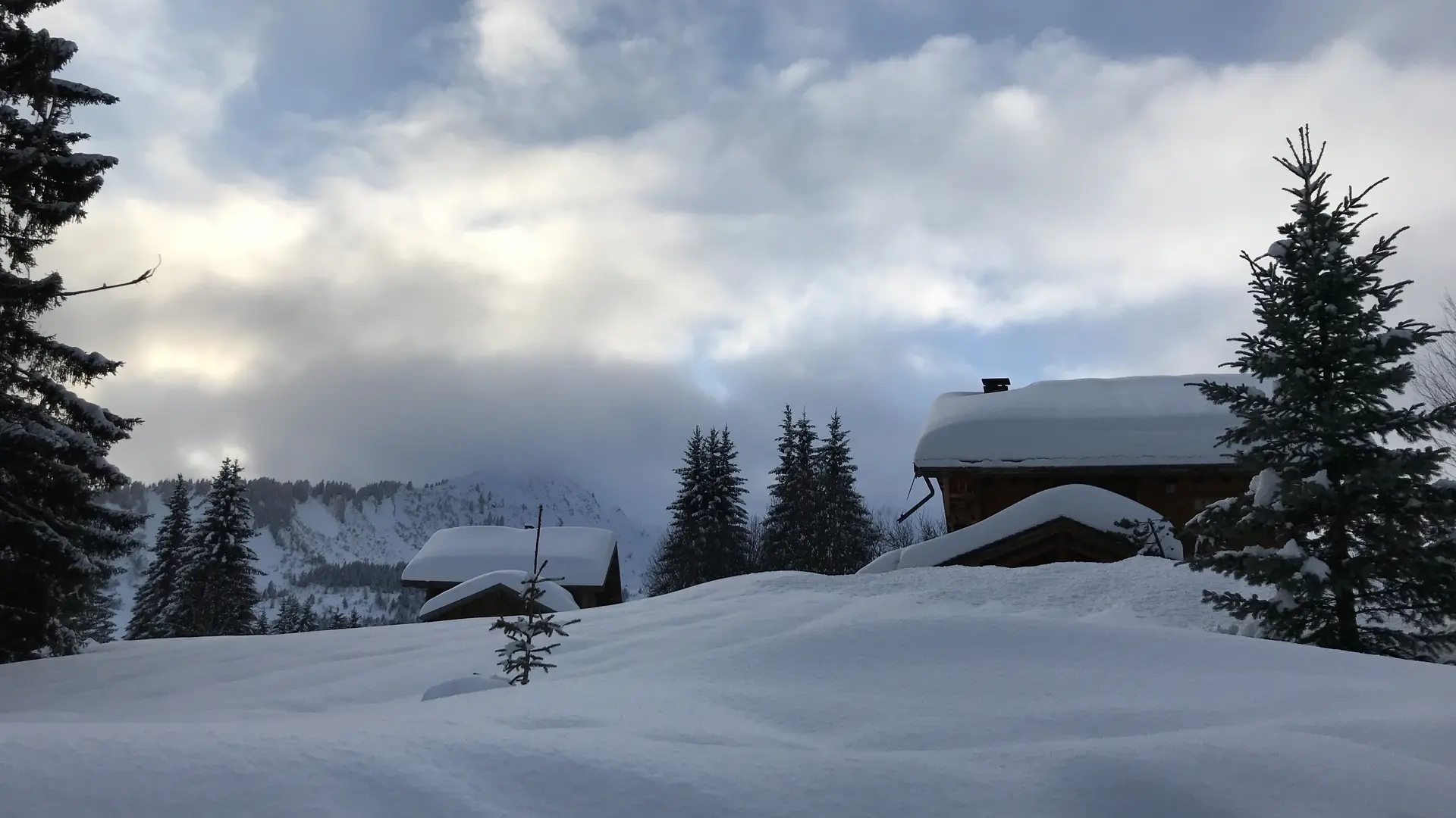 Vue depuis la résidence