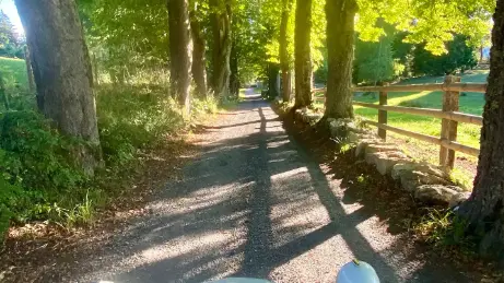 Gîte de Marandière - Estivareilles 42380