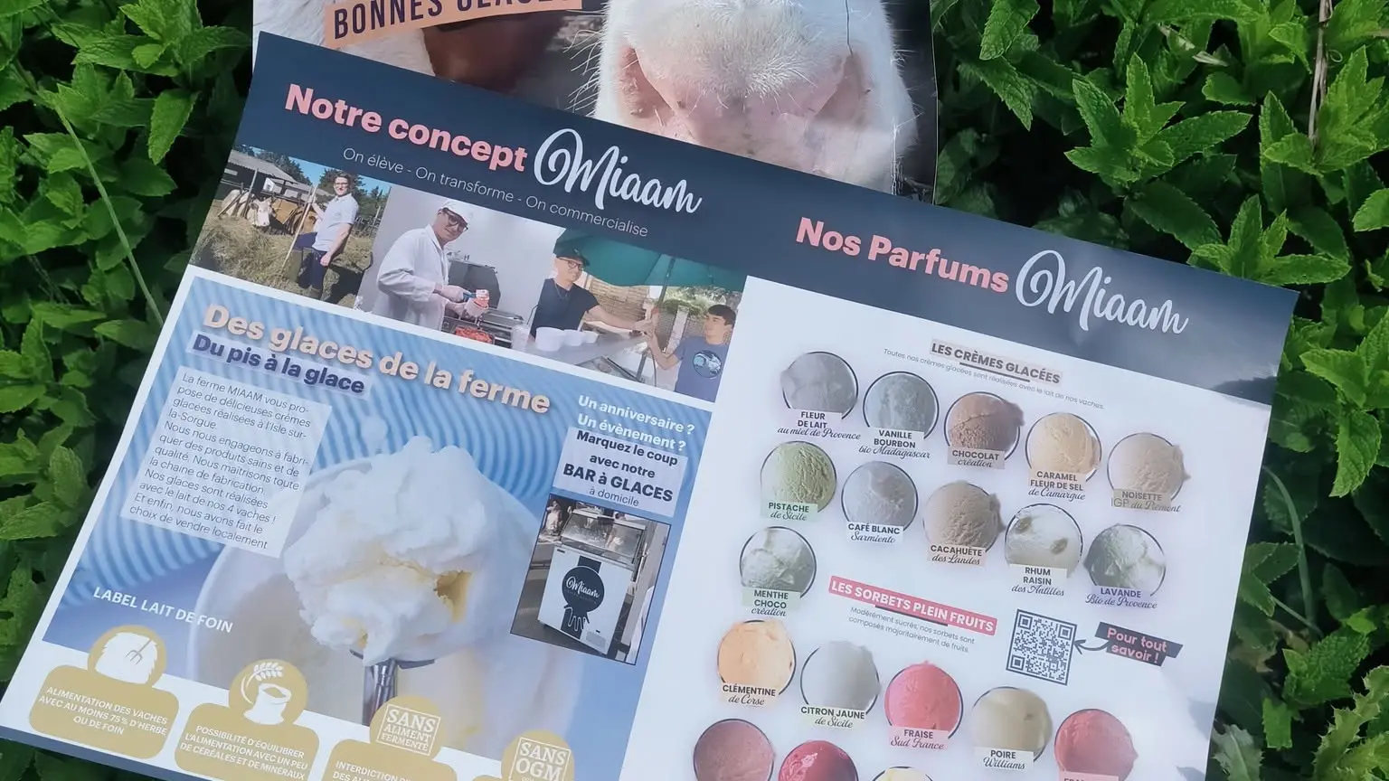 Cartes des glaces Miaam