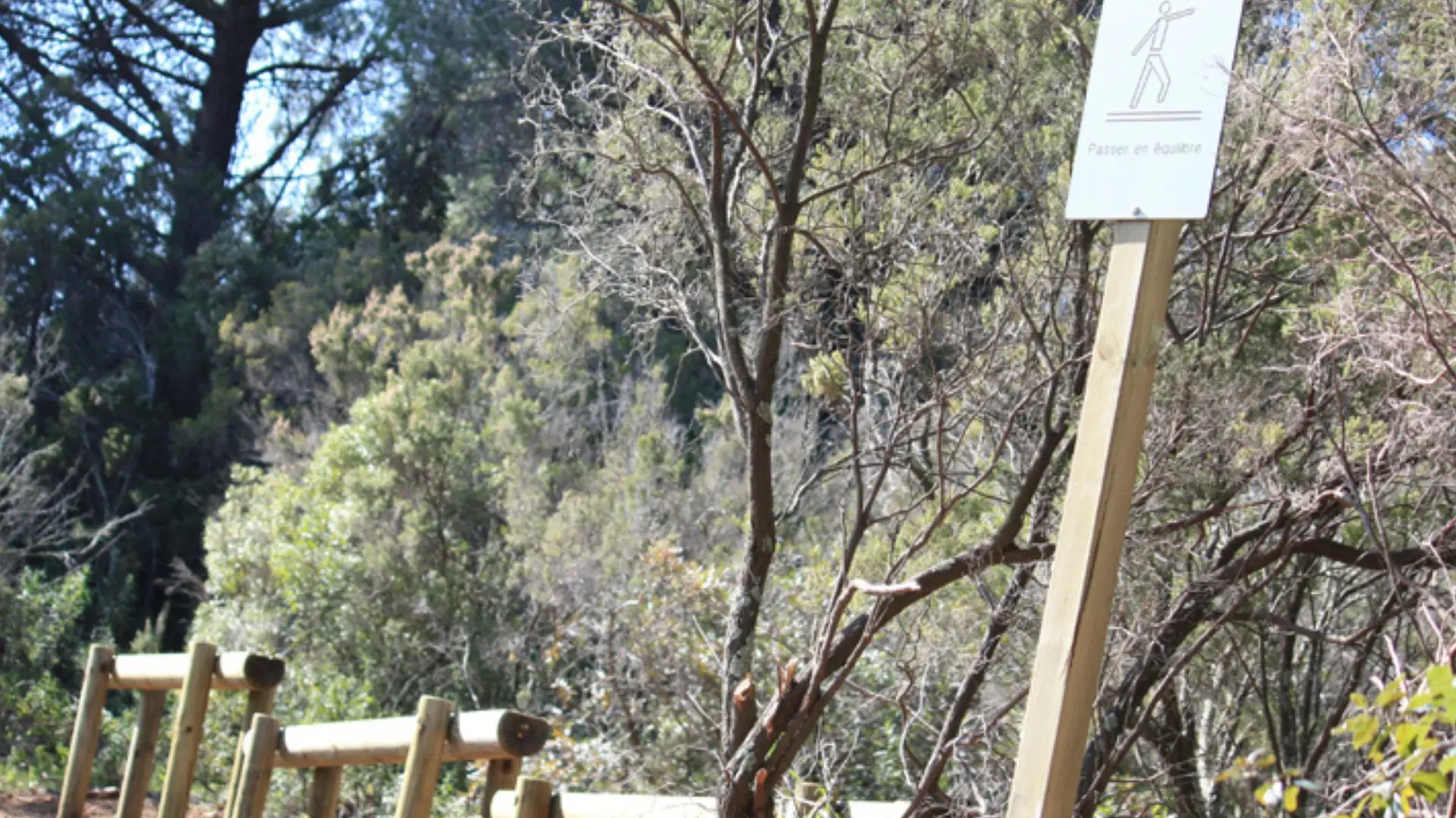 Petite Suisse Hiking