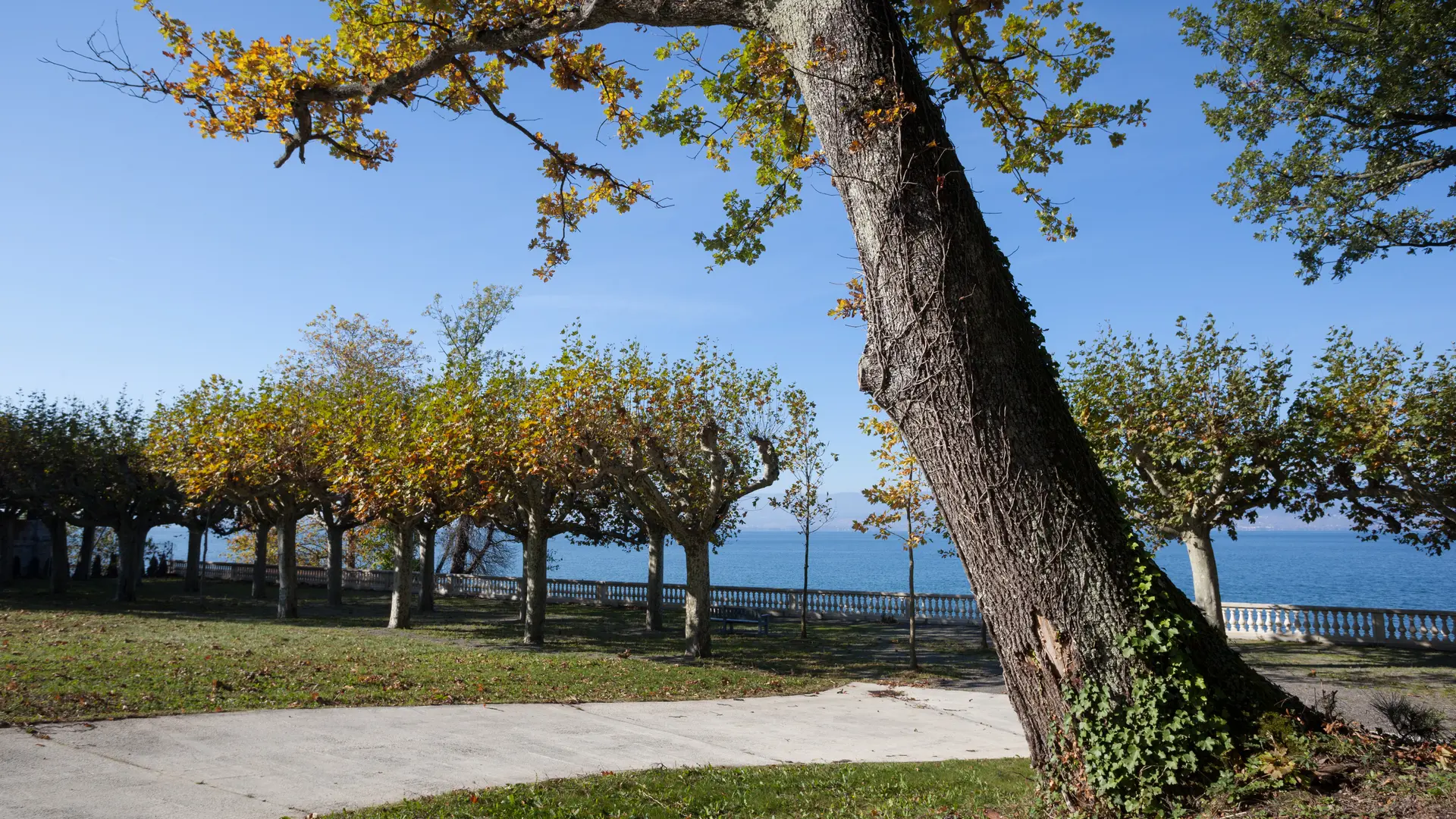 Parc de Corzent