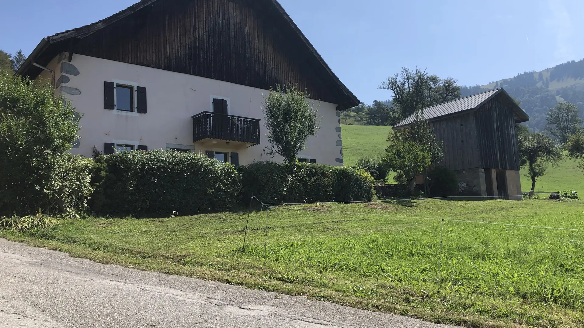 epervier_blanc_haberepoche