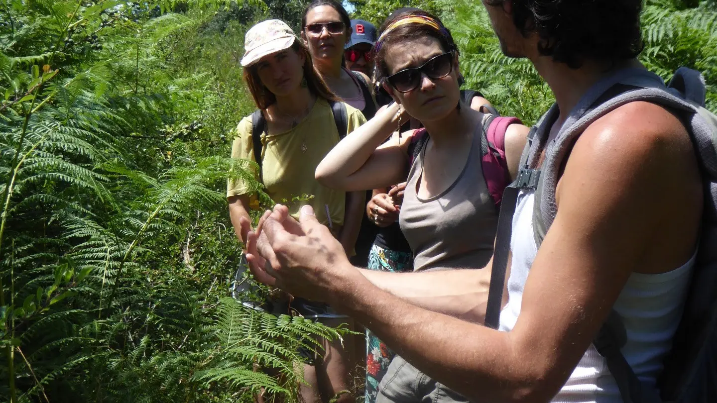 Rencontre avec les plantes sauvages, dans la vallée de l'Ondenon