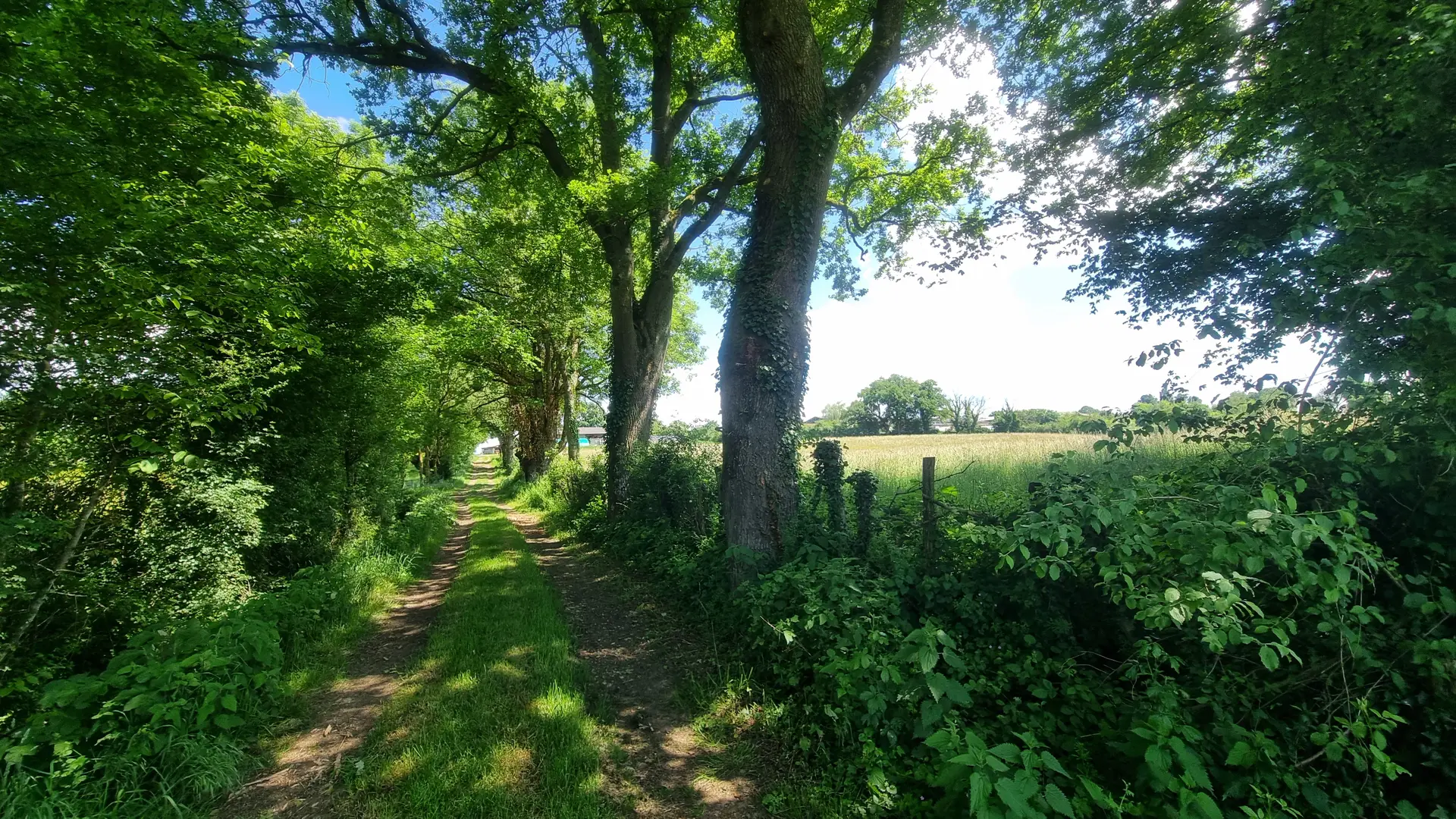 Circuit VTT-VTC n°26 (noir)_Tour de St Didier d'Aussiat