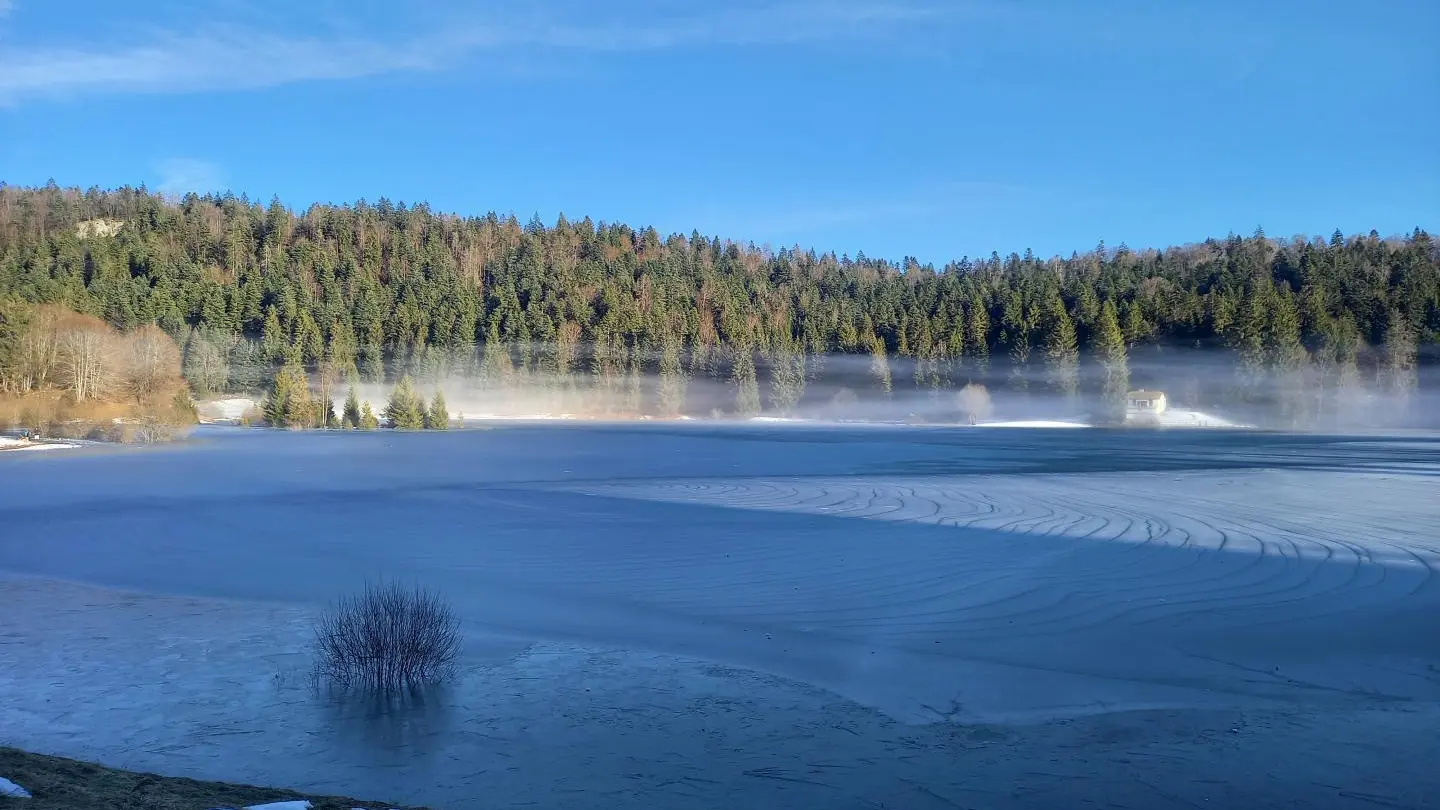 Lac genin glacé