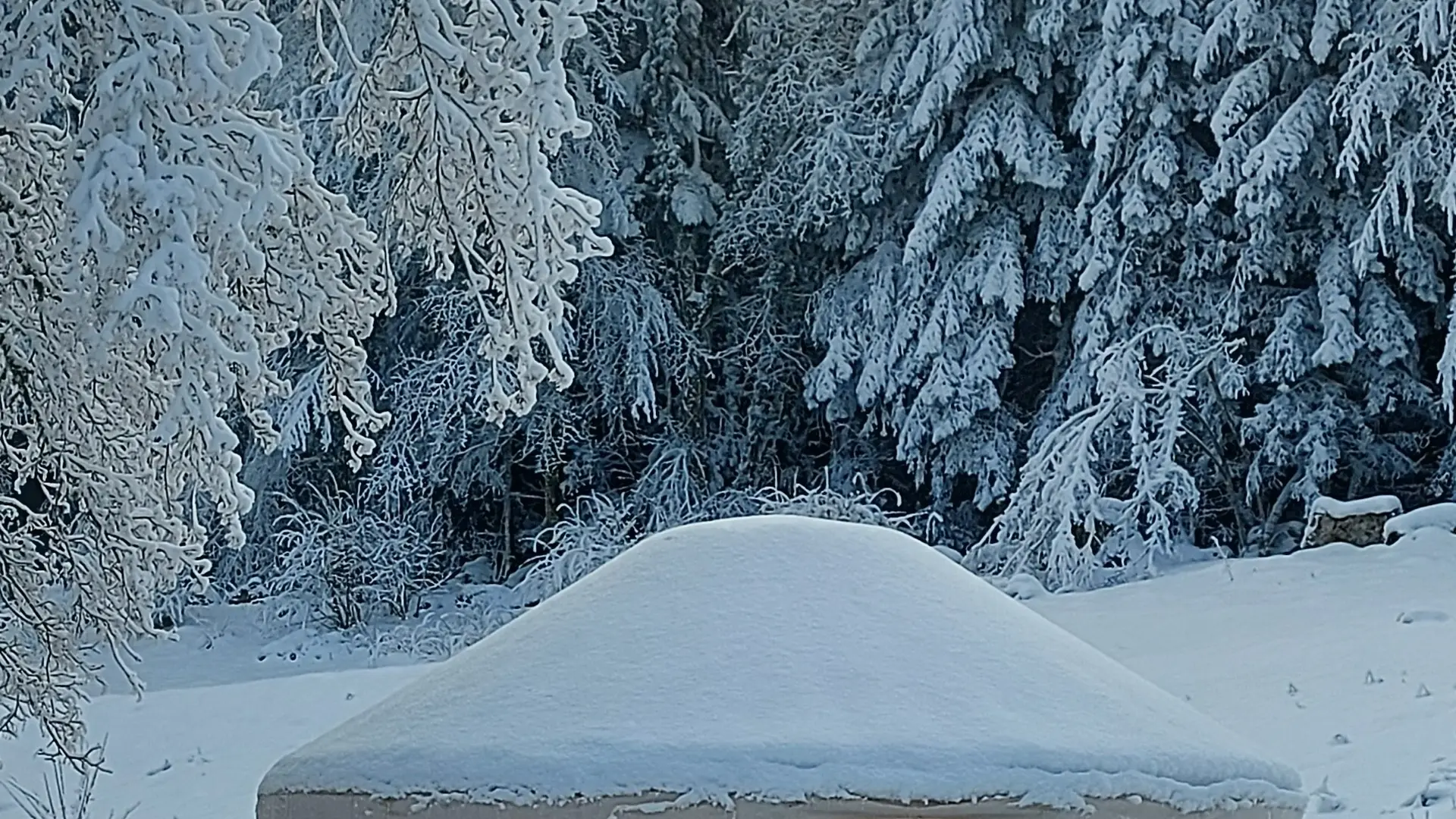 Yourte sous la neige