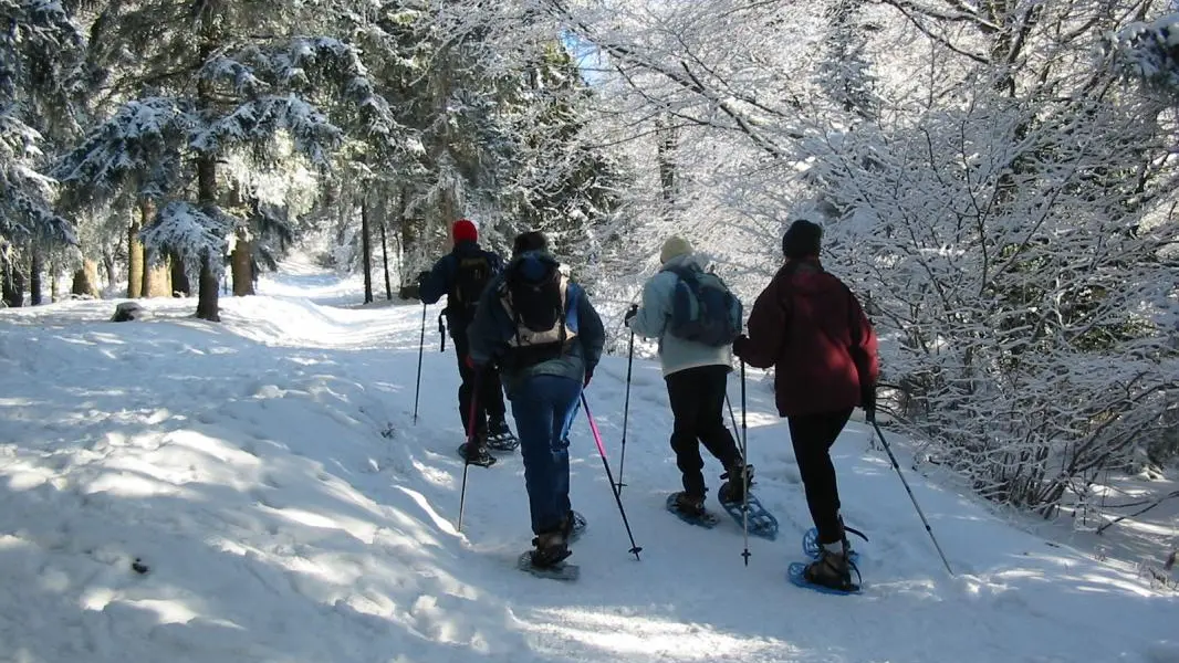 Orcier c'est l'hiver aussi, en raquette à ski ...