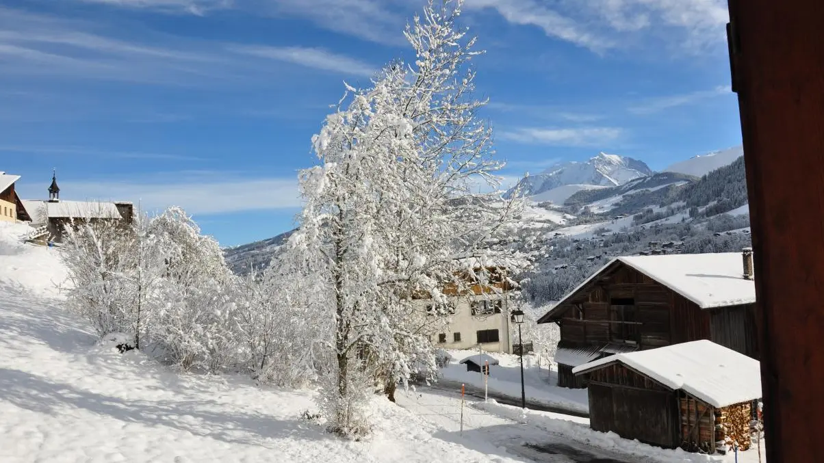 Mont blanc (vue est)