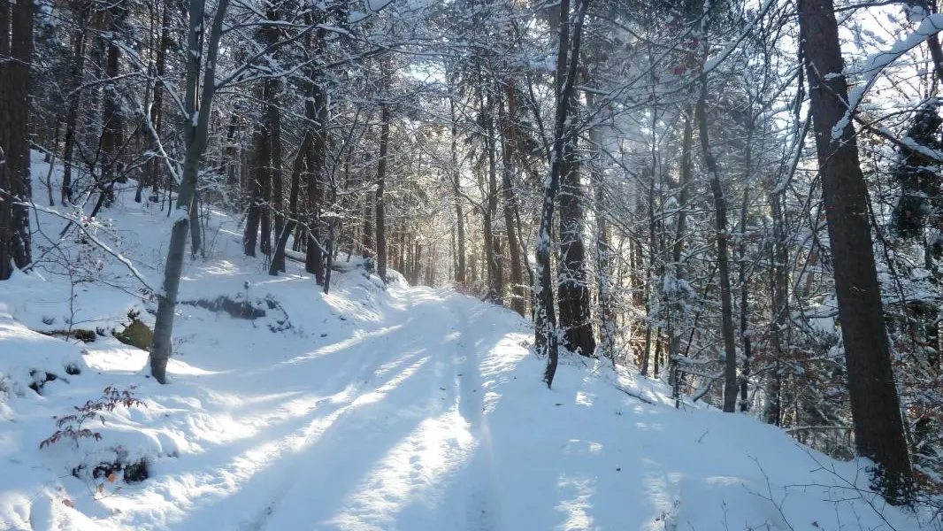 Le chemin qui mène à l'endroit d'exception fait penser à la forêt enchantée mais il est difficile d'accès en voiture, il est préférable de se garer en bas et de parcourir les 900 mètres, au coeur de la nature, à pied et pourquoi pas de les dévaler en luge à la descente.