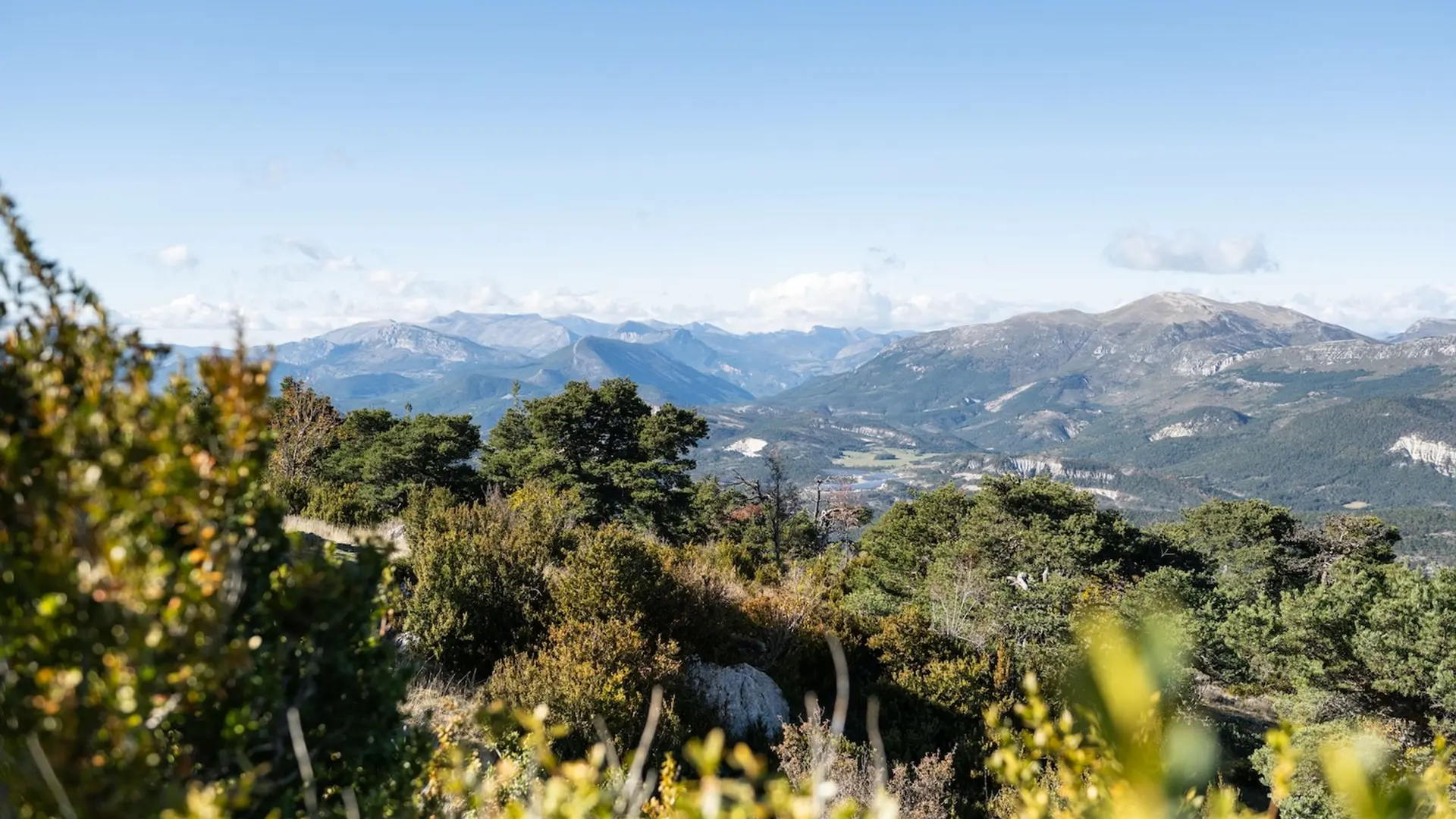 Point de vue
