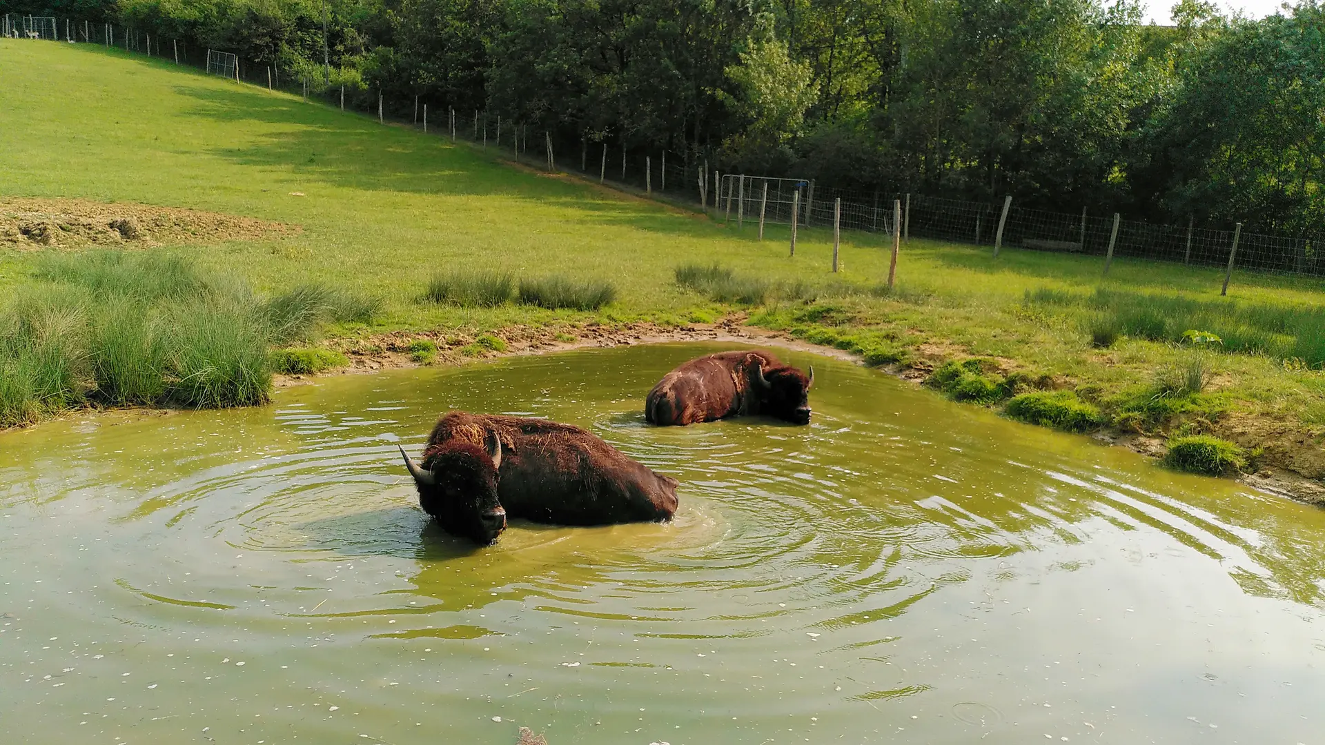 parc animalier