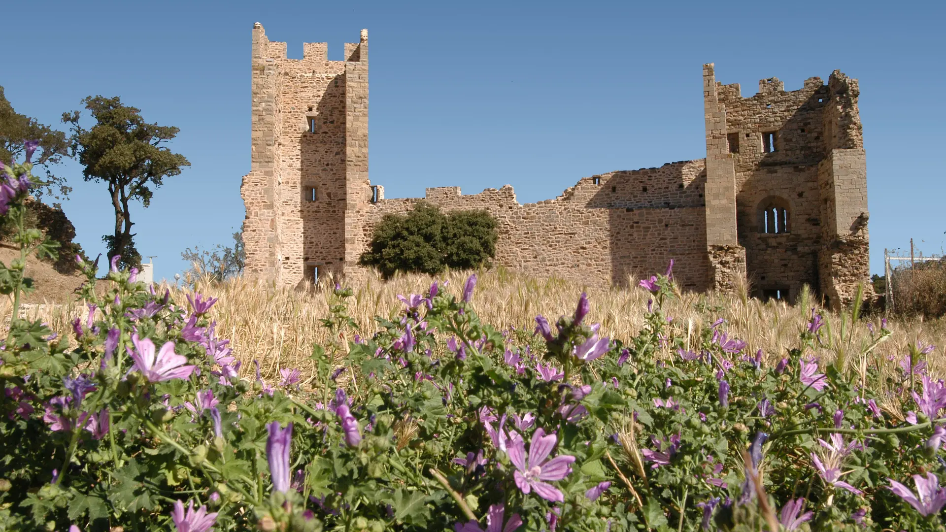 Remparts et vestiges du château des Seigneurs de Fos à Hyères