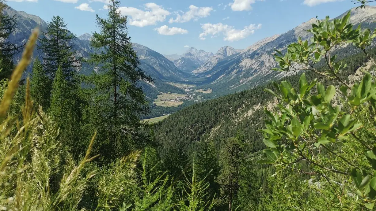 Chalets du Vallon - Val-des-Prés
