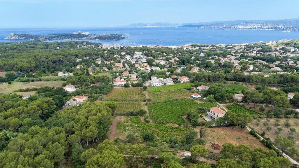 Rosé Côte de Provence