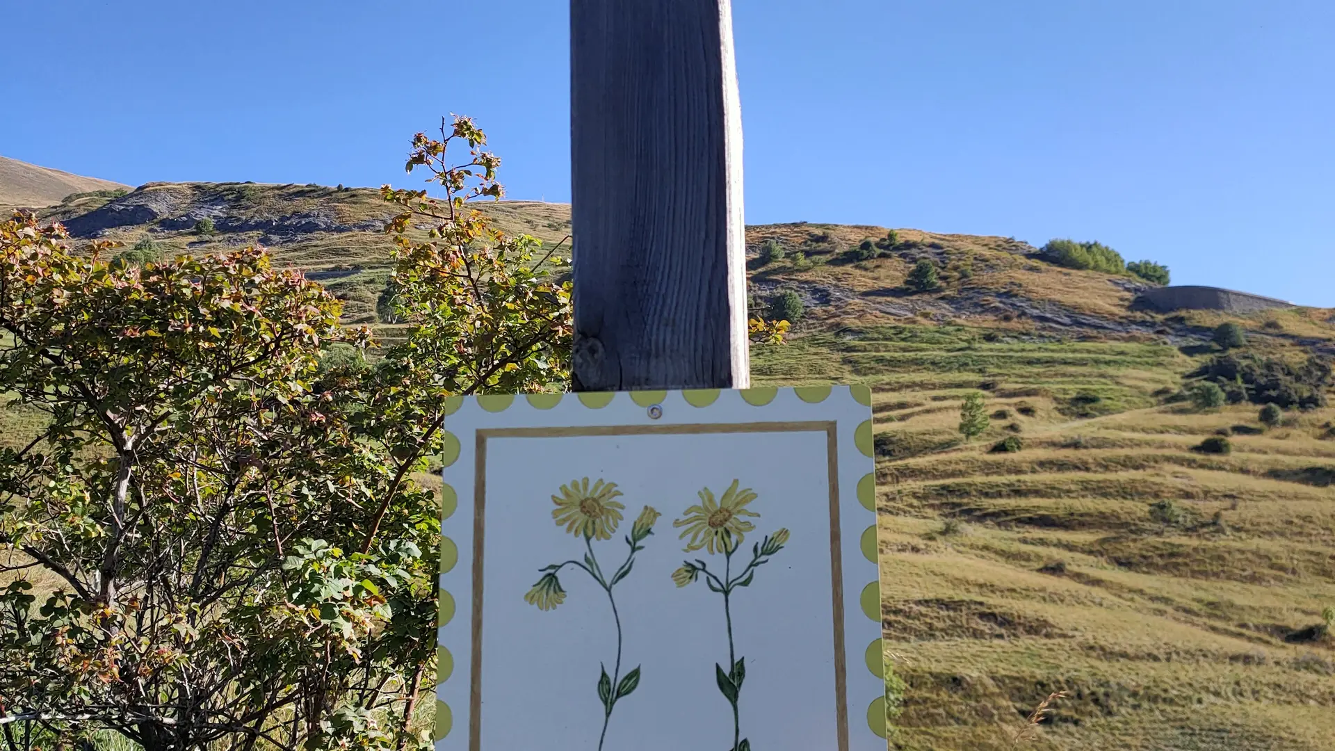 Les timbres servent de balisage sur le chemin du facteur