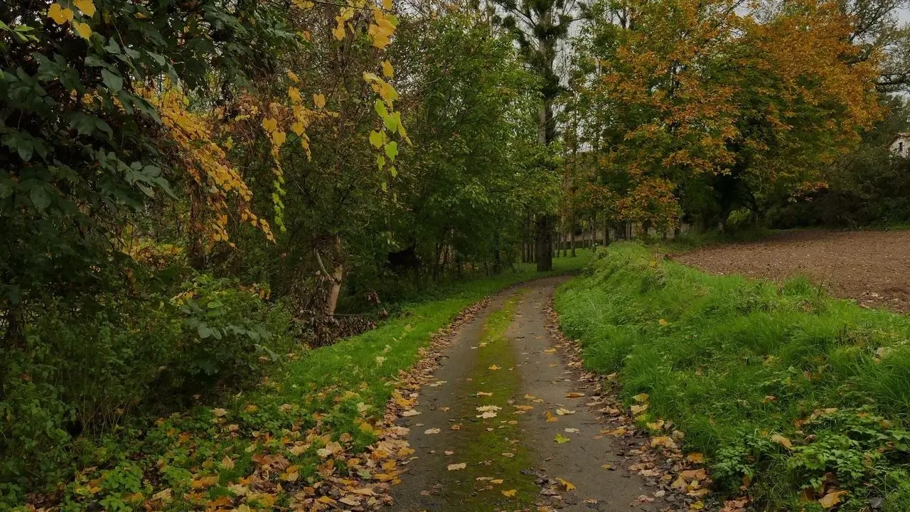Sentier de promenade