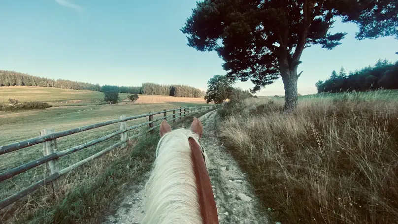 Gîte de Marandière - Estivareilles 42380