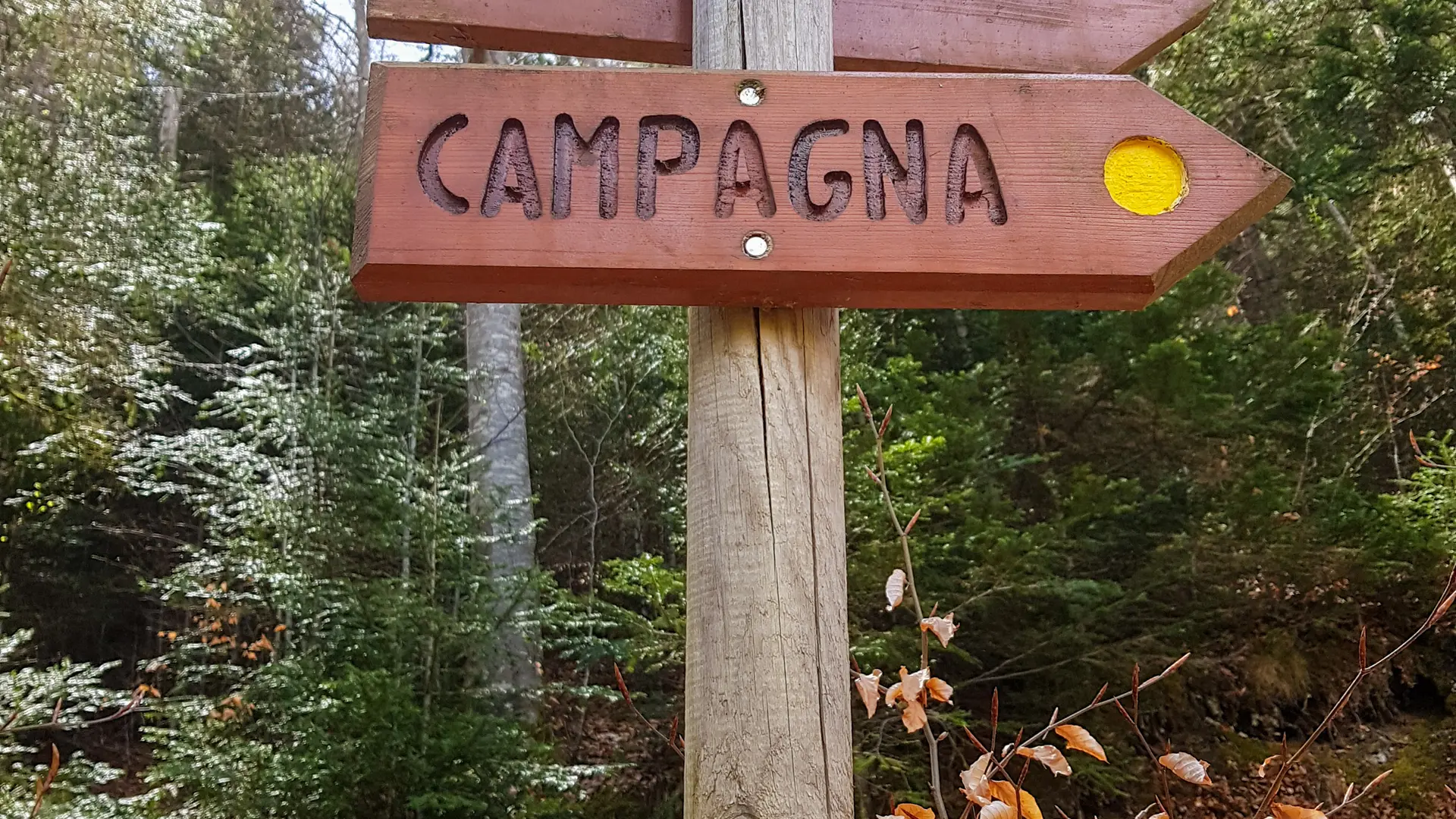 Panneau de signalisation