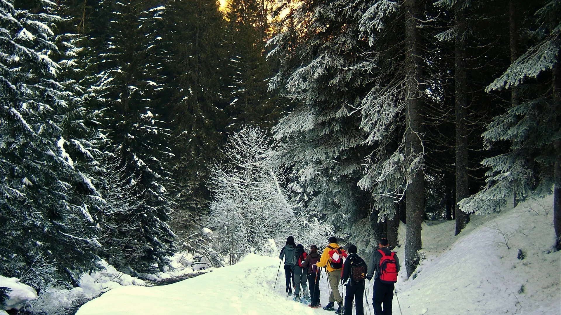 Randonnée raquette en groupe