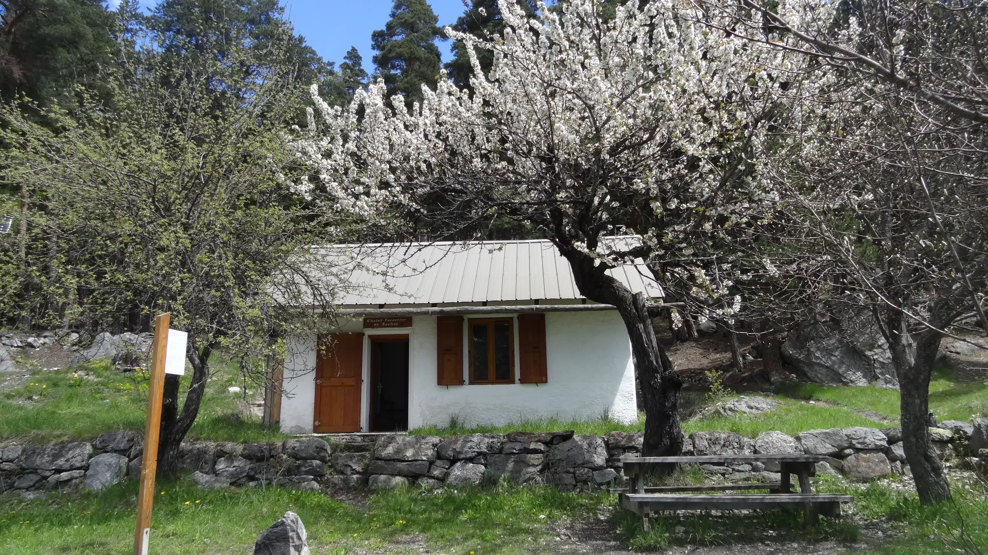 Cabane de sachas