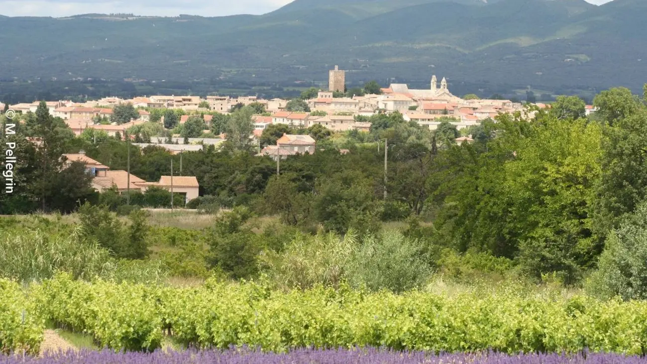 L'Enclave des Papes