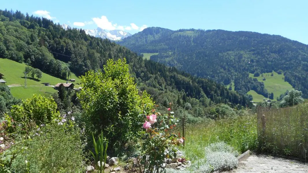 Vue de la terrasse en été