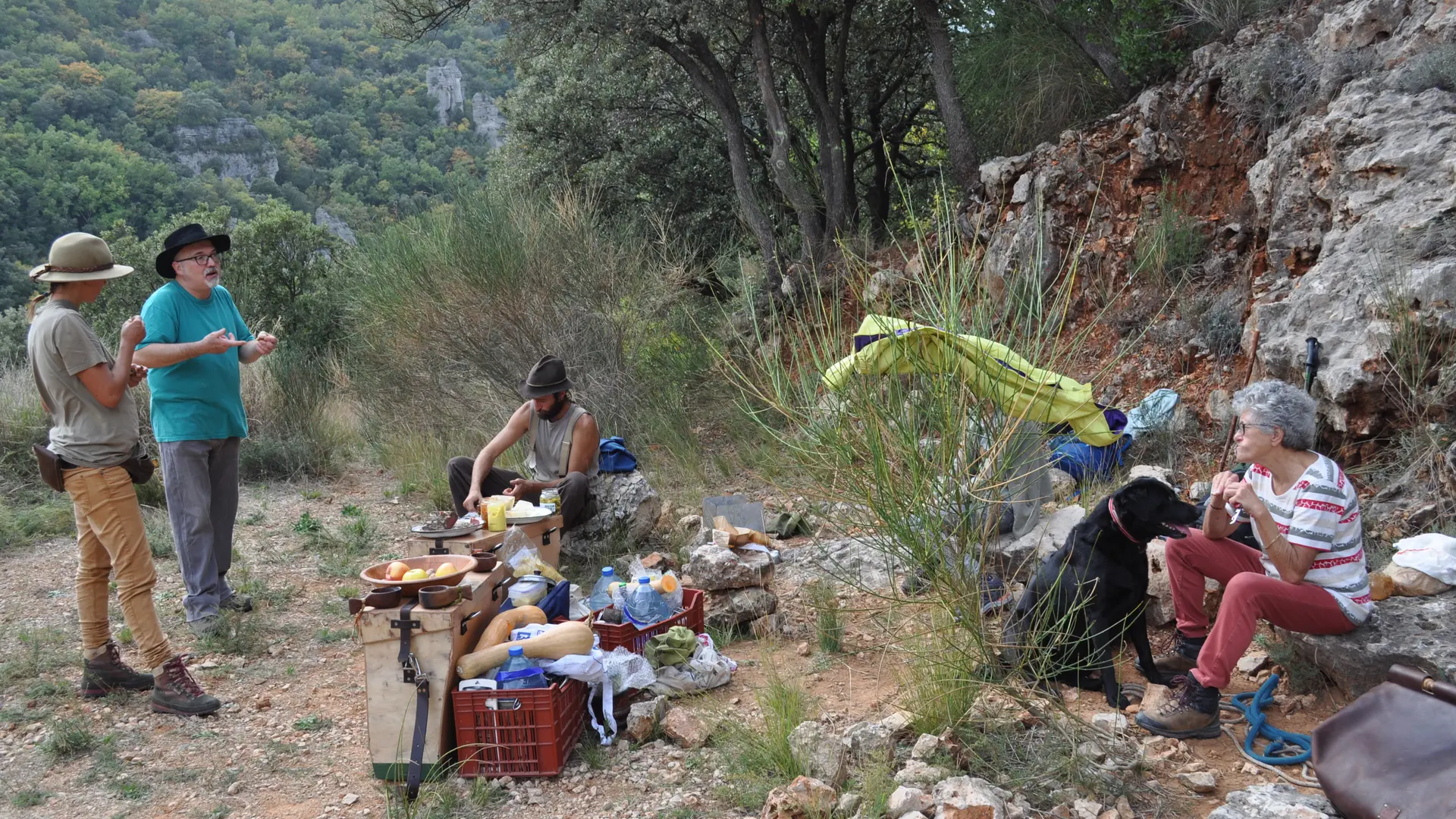 Balades et randonnées avec les muletiers Bigatier à Cuers