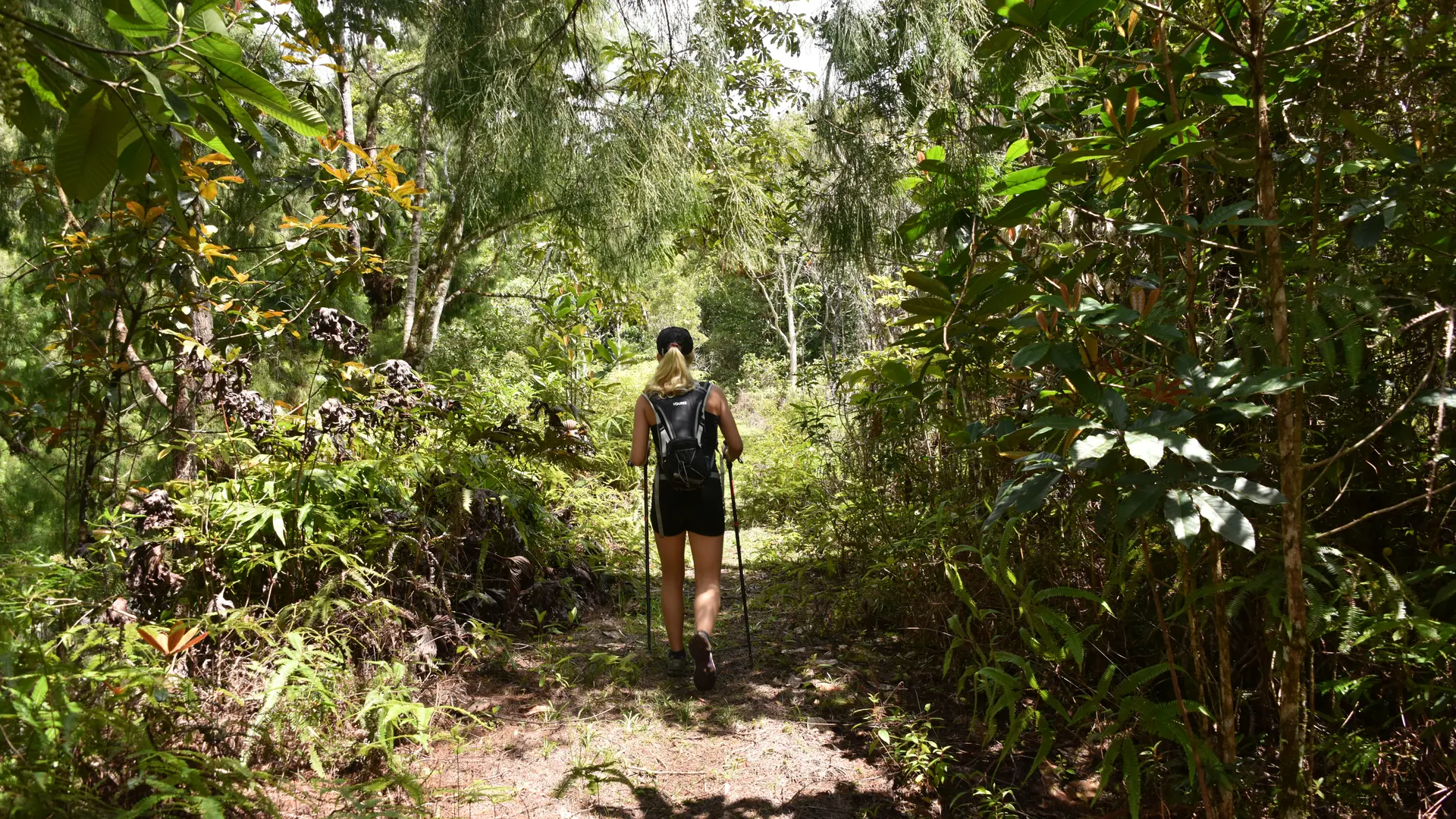 En remontant la Tipiléi
