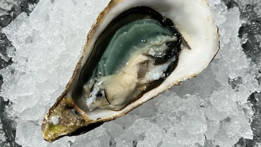 Huitre à déguster